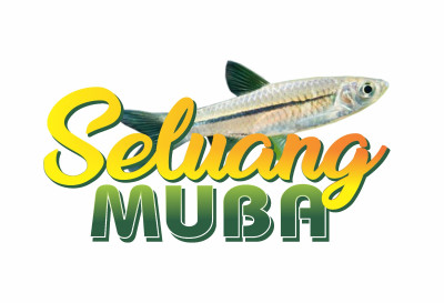 SELUANG MUBA